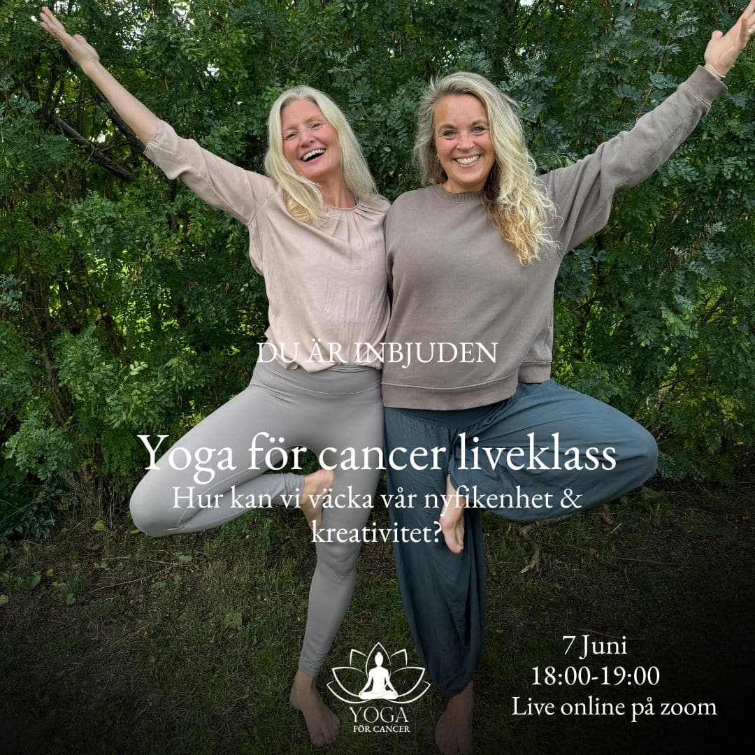 Hur kan vi väcka vår nyfikenhet och kreativitet? live 7/6 18:00-19:00
